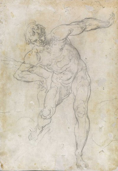 Studie van mannelijk naakt door Guido Reni